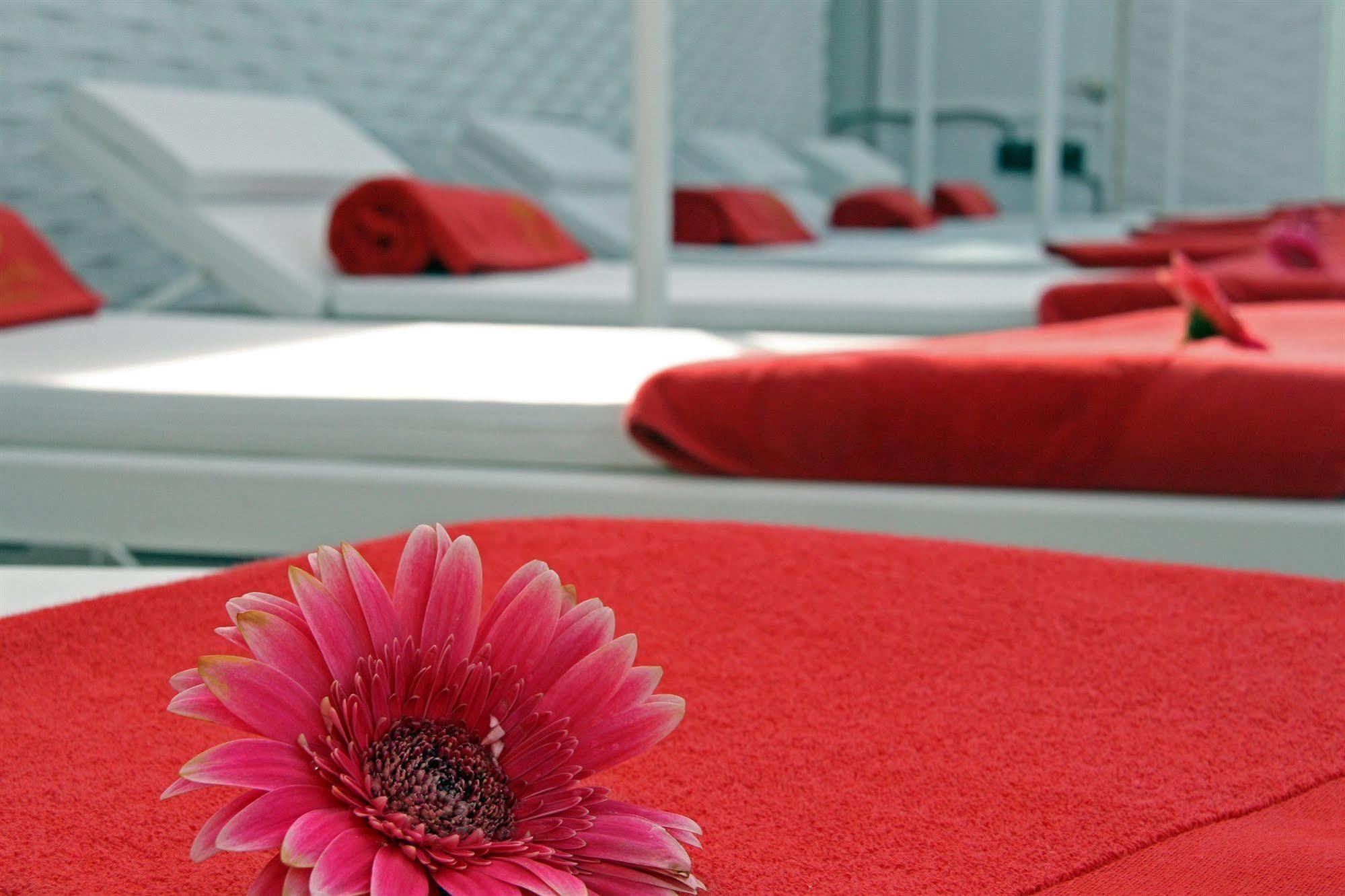 纳加里精品水疗大酒店 比戈 外观 照片 Spa at the Hotel